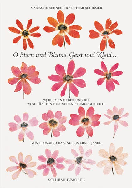 O Stern und Blume, Geist und Kleid