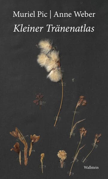 Kleiner Tränenatlas