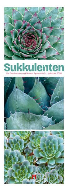 Sukkulenten Triplet-Kalender 2026 | Kakteen, Agaven & Co