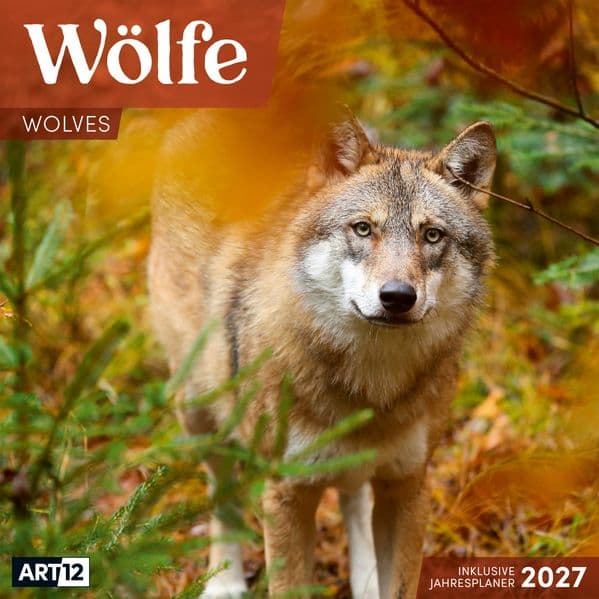 Wölfe Kalender 2027 - 30x30 - Art12