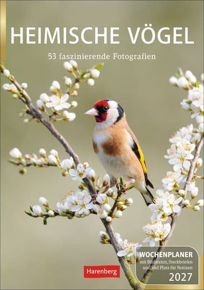 Heimische Vögel Wochenplaner 2027 - 53 faszinierende Fotografien