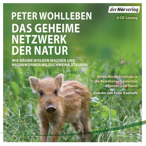 Das geheime Netzwerk der Natur
