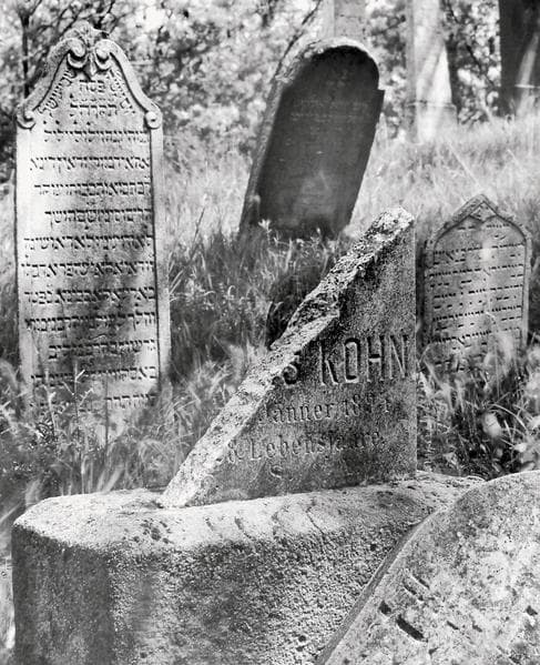 Der jüdische Friedhof von Mikulov / Židovsky Hrbitov v Mikulove