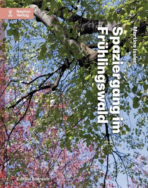 Spaziergang im Frühlingswald