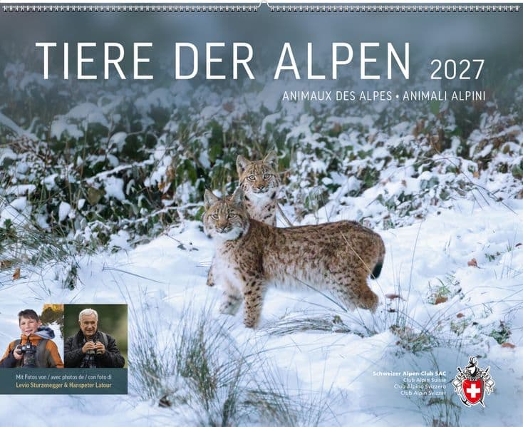 Tiere der Alpen 2027
