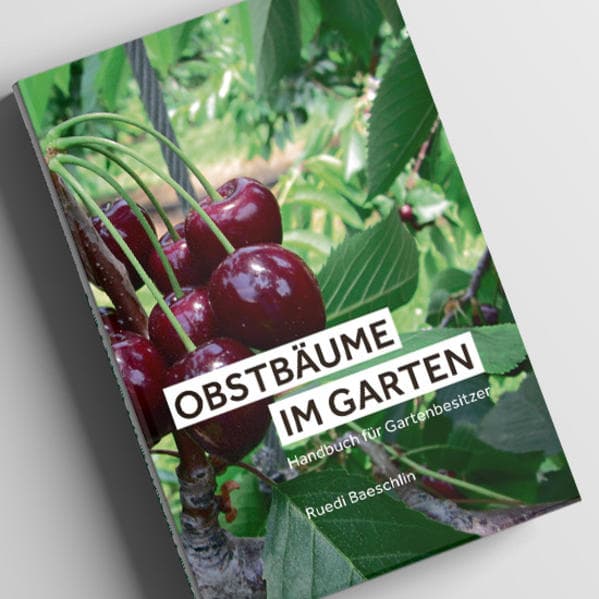 Obstbäume im Garten