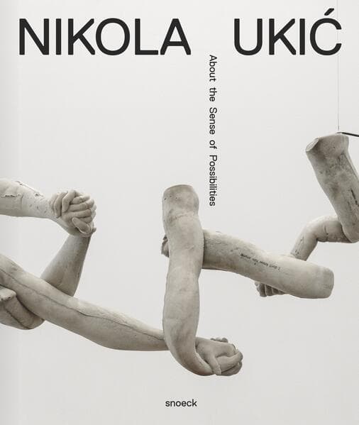Nikola Uki¿: About the Sense of Possibilties