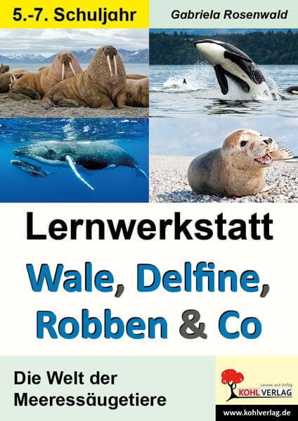 Lernwerkstatt Wale, Delfine, Robben und Co