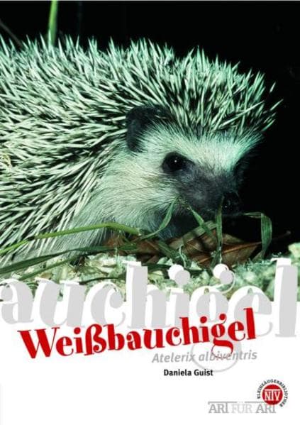 Weissbauchigel