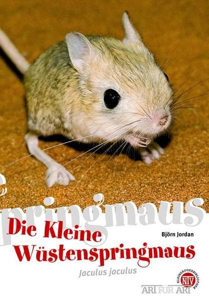 Die kleine Wüstenspringmaus