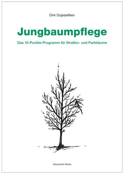 Jungbaumpflege