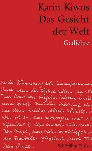Das Gesicht der Welt
