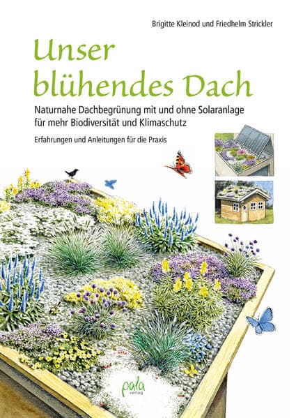 Unser blühendes Dach