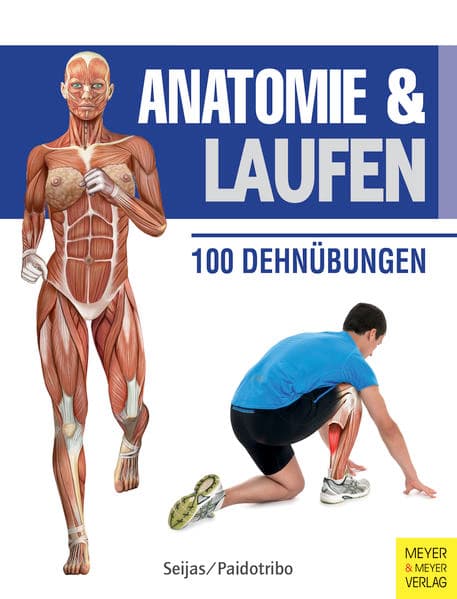 Anatomie & Laufen