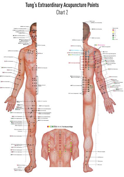 Chart 2 TUNG's Extraordinary Acupuncture Points on the regular channels