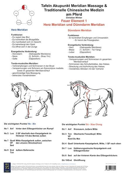 Feuer Element 1. Herz und Dünndarm Meridian