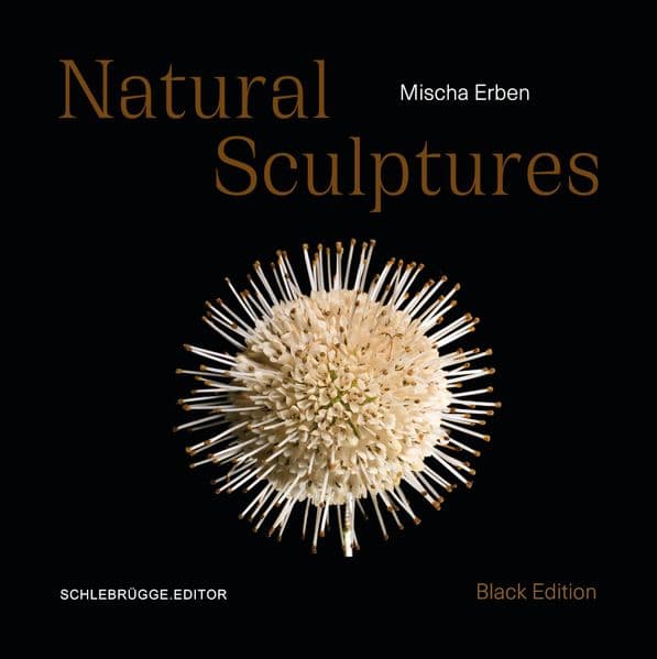 Mischa Erben - Natural Sculptures