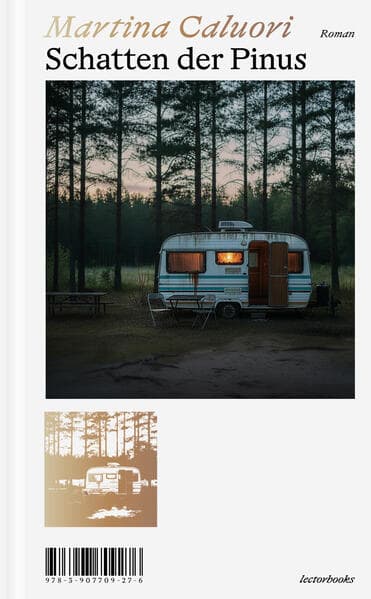 Schatten der Pinus