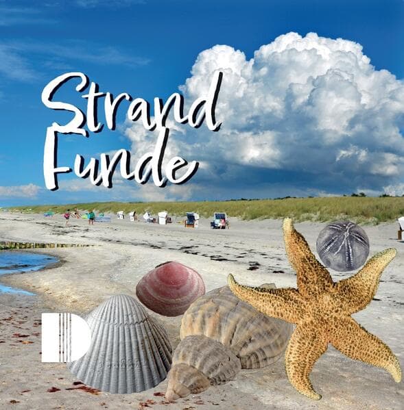 Strandfunde am Ostseestrand