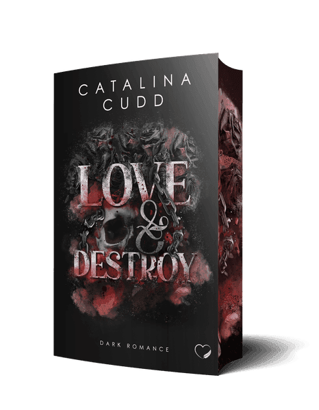 Love & Destroy: Dark Romance