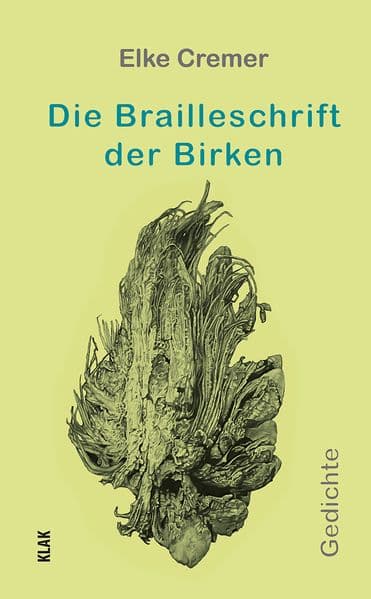 Die Brailleschrift der Birken