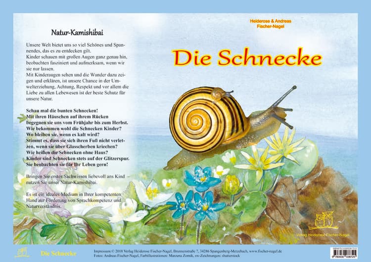 Die Schnecke - Natur-Kamishibai