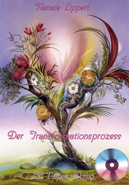 Der Transformationsprozess
