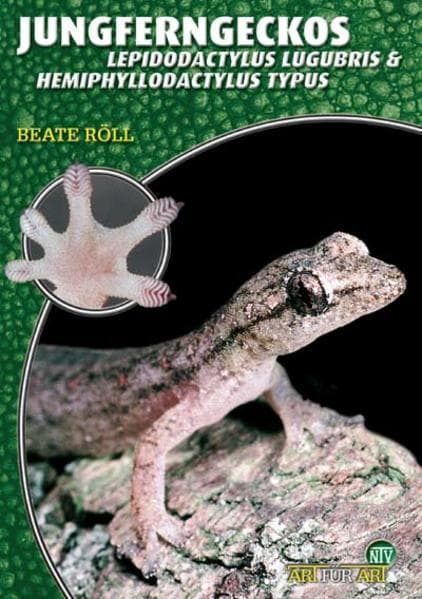 Jungferngeckos