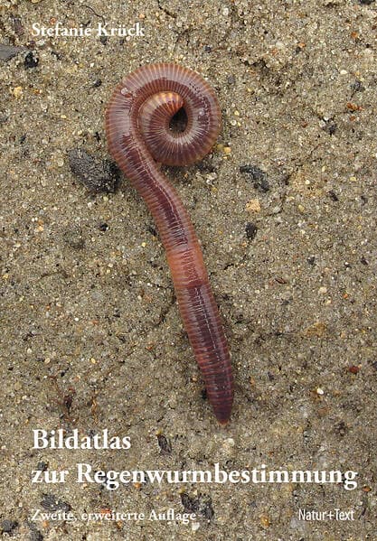 Bildatlas der Regenwurmbestimmung