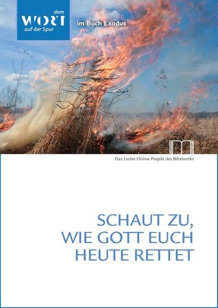 Schaut zu, wie Gott euch heute rettet