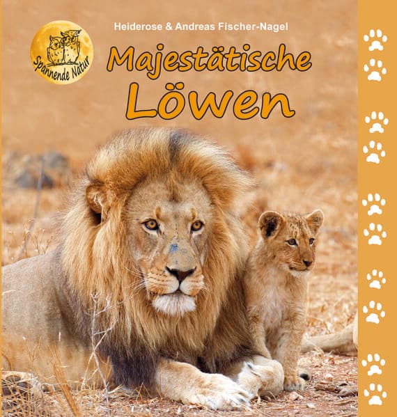 Majestätische Löwen