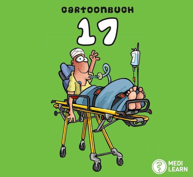 Cartoonbuch 17