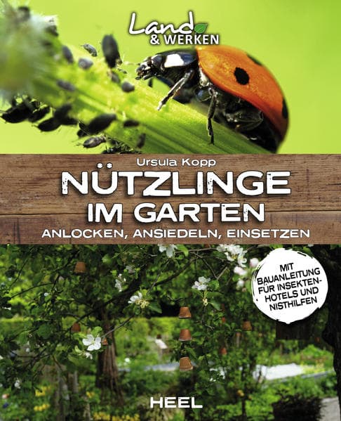 Nützlinge im Garten – anlocken, ansiedeln, einsetzen