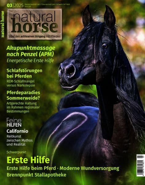 Natural Horse 57