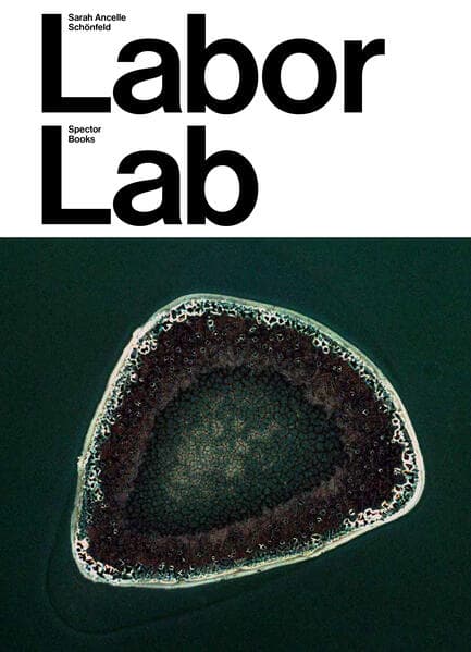 Sarah Ancelle Schönfeld: Labor Lab