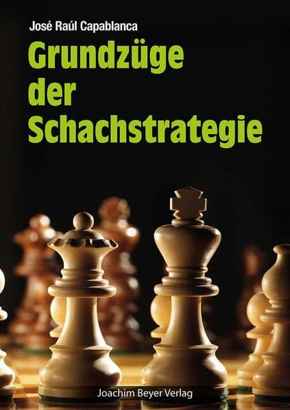 Grundzüge der Schachstrategie