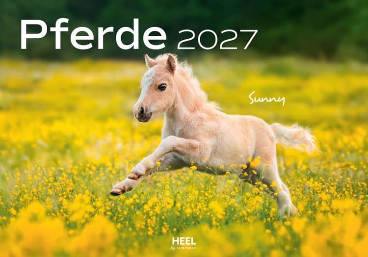 Pferde Kalender 2027 Wandkalender