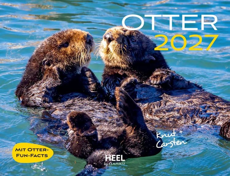 Otter Kalender 2027 Wandkalender Eintragkalender