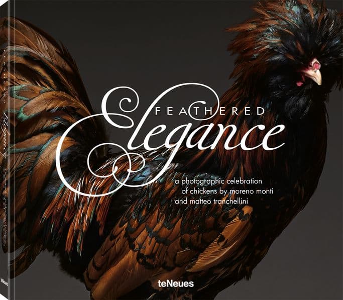 Feathered Elegance