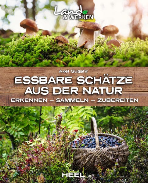 Essbare Schätze aus der Natur: Erkennen – Sammeln – Zubereiten