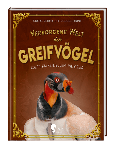 Verborgene Welt der Greifvögel