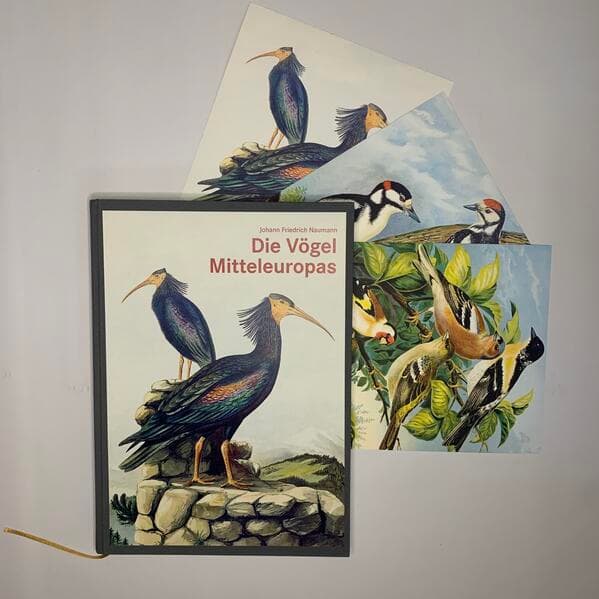 Die Vögel Mitteleuropas (Luxusausgabe im Großformat)