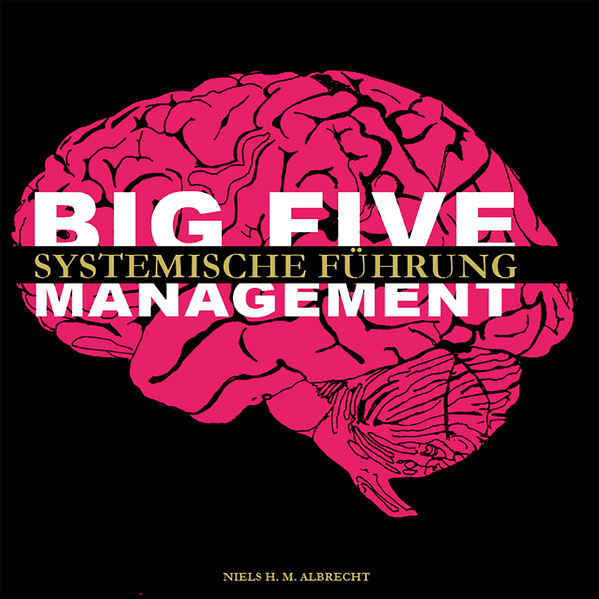 Big Five Management