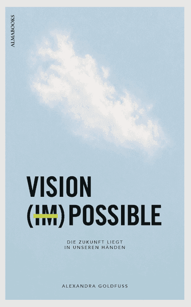 VISION (IM)POSSIBLE