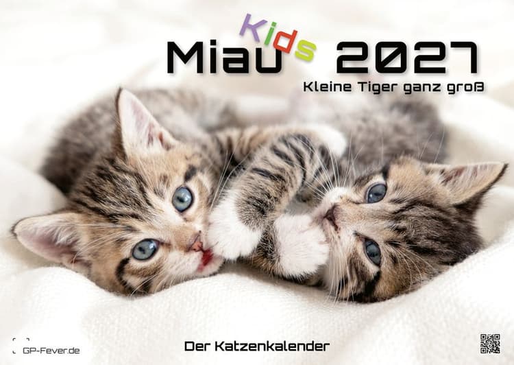 Miau Kids - kleine Tiger ganz groß - Der Katzenkalender - 2027 - Kalender DIN A2