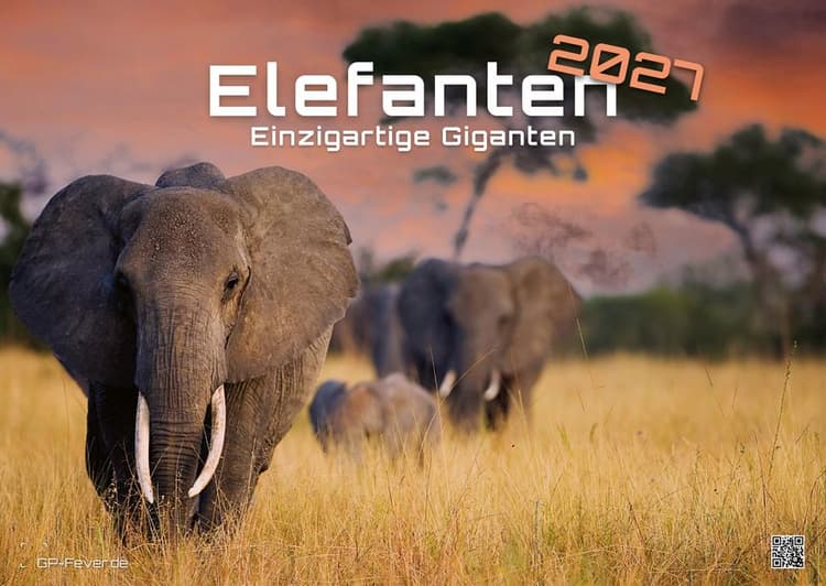 Elefanten - einzigartige Giganten - 2027 - Kalender DIN A2