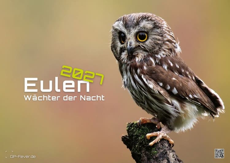 Eulen - Wächter der Nacht - 2027 - Kalender DIN A2