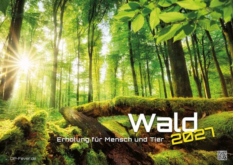 Wald - Erholung für Mensch und Tier - 2027 - Kalender DIN A2