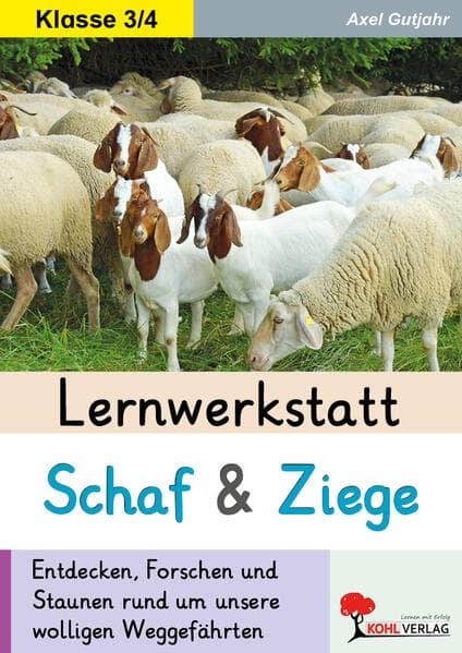 Lernwerkstatt Schaf und Ziege