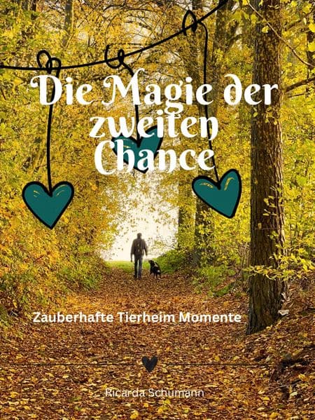 Die Magie der zweiten Chance